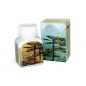 Капсулы Ginseng Kianpi pil 60 шт