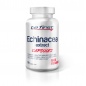 Специальный препарат Be First Echinacea Extract Capsules 90 капсул