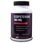 Тестобустер Protein Company Экдистерон 99% 90 капсул