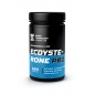 Тестобустер НПО Спортивные Технологии Ecdysterone PRO 120 капcул