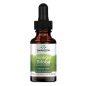 Антиоксидант Swanson Ginkgo Biloba Liquid Extract 250  мг 30 мл