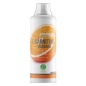 Л-карнитин Nature Foods L-carnitine + Guarana Concentrate 1000 мл