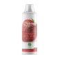 Л-карнитин Nature Foods L-carnitine + Guarana concentrate 500 мл