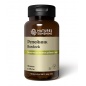 Витамины Nature's Sunshine Burdock 100 капсул