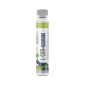 Л-карнитин Nature Foods L-carnitine Guarana 4000 25 мл