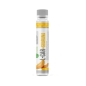 Л-карнитин Nature Foods L-carnitine Guarana 4000 25 мл